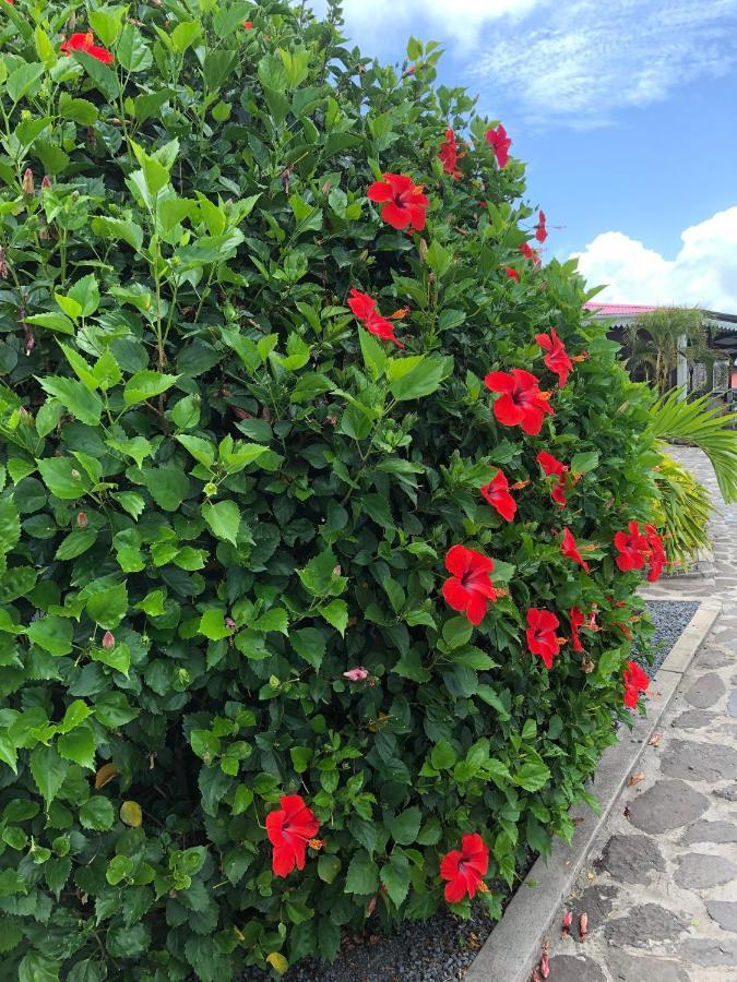 Lovely Apartment In Flic En Flac, Close To The Beach And All Amenities. Luaran gambar